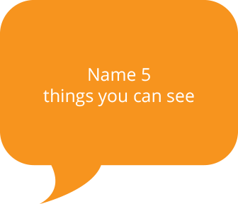 Name 5 
things you can see