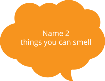 Name 2 
things you can smell